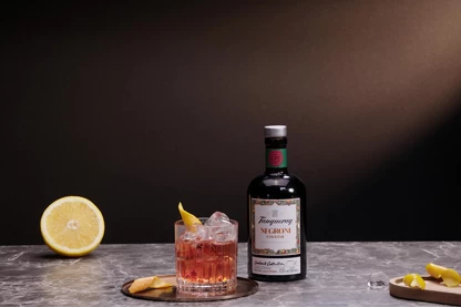 Tanqueray Negroni Cocktail